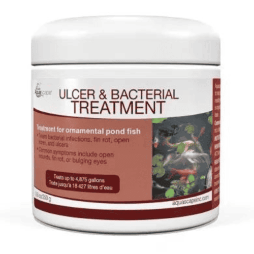 Ulcer & Bacterial Treatment